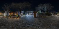 a cobblestone street with trees and bushes on one side of the pavement at night