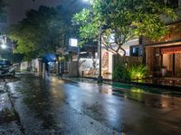 people walking down a street in the rain on a rainy night, with trees behind them