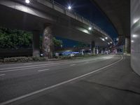 the lights are on at night under a highway overpass and trees along the side