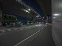 the lights are on at night under a highway overpass and trees along the side