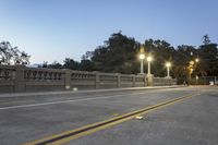 the empty paved bridge has illuminated street lamps lit up at night and people walking over it