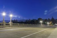 the empty paved bridge has illuminated street lamps lit up at night and people walking over it