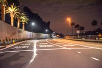 a freeway at night with trees and palm trees in the distance and traffic lanes painted on the roadway