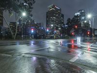 the traffic light reflects on a wet street at night as cars go by on the sidewalk