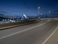 Night View of Barcelona, Spain: Lights and Bridge