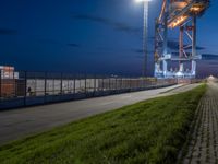 large, long dock on grassy area at night by a street with street lights lit up