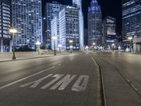 Night View of Chicago, Illinois, USA