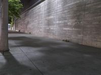 this is an outdoor photo taken of a city street with cement walls and a tree