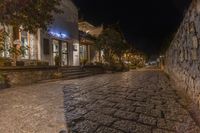 some cobblestones in an outdoor area at night with trees and other buildings,