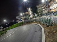 Night View of Curved Road in Los Angeles, USA 002