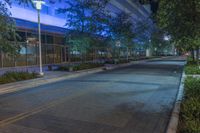 Night View of Downtown Miami, Florida (002)