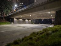 Night View of Los Angeles City Lights