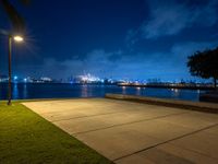 a view of a city at night next to the water, with a bench and fire hydrant in foreground