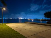 a view of a city at night next to the water, with a bench and fire hydrant in foreground