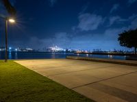 a view of a city at night next to the water, with a bench and fire hydrant in foreground