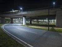 a bridge with cars going over it on an empty road at night in the city