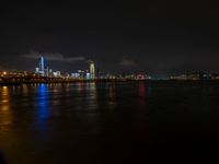 the view from an embankment of city skylines and a harbor at night as seen from across the water