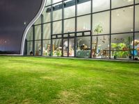 grassy area with glass window and green yard by night of open space in front of building