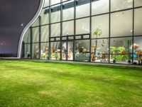 grassy area with glass window and green yard by night of open space in front of building