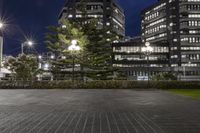 several buildings with some lights and a tree in the middle of the ground by night