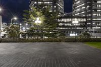 several buildings with some lights and a tree in the middle of the ground by night