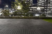 several buildings with some lights and a tree in the middle of the ground by night