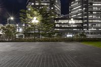 several buildings with some lights and a tree in the middle of the ground by night