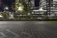 several buildings with some lights and a tree in the middle of the ground by night