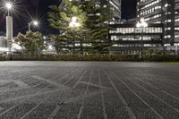 several buildings with some lights and a tree in the middle of the ground by night