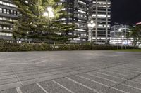 several buildings with some lights and a tree in the middle of the ground by night