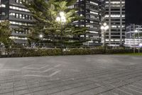 several buildings with some lights and a tree in the middle of the ground by night