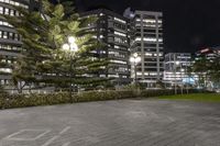 several buildings with some lights and a tree in the middle of the ground by night