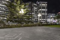 several buildings with some lights and a tree in the middle of the ground by night