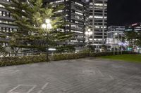 several buildings with some lights and a tree in the middle of the ground by night