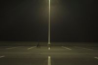 an empty parking lot lit by two street lamps at night as well as a couple walking across