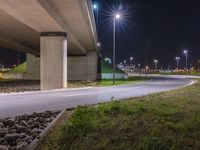 a street light above an interstate road at night with a long exposure lens and street light