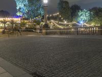 a person is standing on an empty brick walkway by the tv tower and trees with lights