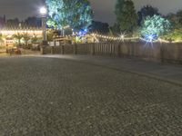 a person is standing on an empty brick walkway by the tv tower and trees with lights