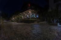 an urban brick street lit with bright lights at night with the buildings and plants near