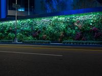 street lights illuminate a bright green wall in front of a store front at night