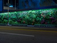 street lights illuminate a bright green wall in front of a store front at night