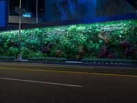 street lights illuminate a bright green wall in front of a store front at night