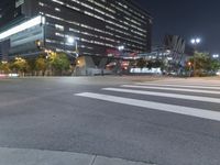 Nighttime City Road with Urban Infrastructure