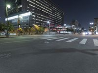 Nighttime City Road with Urban Infrastructure