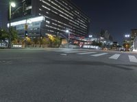 Nighttime City Road with Urban Infrastructure