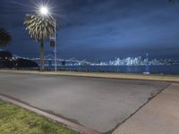 a city is seen behind the skyline during night time as seen from the lawn on the corner