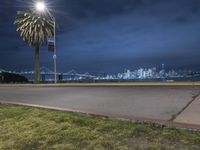 a city is seen behind the skyline during night time as seen from the lawn on the corner