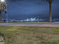 a city is seen behind the skyline during night time as seen from the lawn on the corner