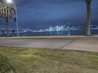 a city is seen behind the skyline during night time as seen from the lawn on the corner