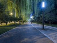 Nighttime in the City: Street Light Reflections in Beijing, China